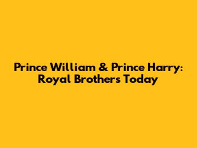 Prince William & Prince Harry: Royal Brothers Today