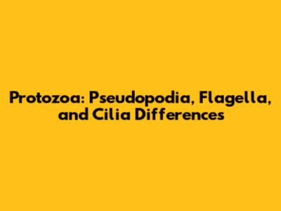 Protozoa: Pseudopodia, Flagella, and Cilia Differences