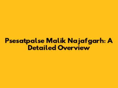 Psesatpalse Malik Najafgarh: A Detailed Overview