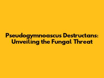 Pseudogymnoascus Destructans: Unveiling the Fungal Threat