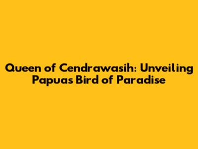 Queen of Cendrawasih: Unveiling Papua's Bird of Paradise