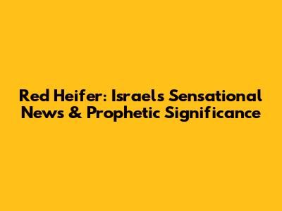 Red Heifer: Israel's Sensational News & Prophetic Significance