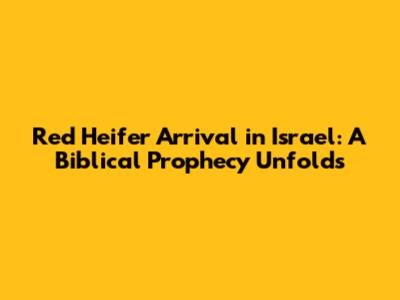Red Heifer Arrival in Israel: A Biblical Prophecy Unfolds
