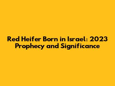 Red Heifer Born in Israel: 2023 Prophecy and Significance