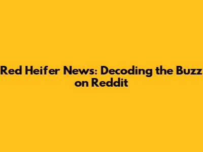 Red Heifer News: Decoding the Buzz on Reddit