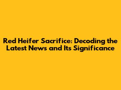 Red Heifer Sacrifice: Decoding the Latest News and Its Significance