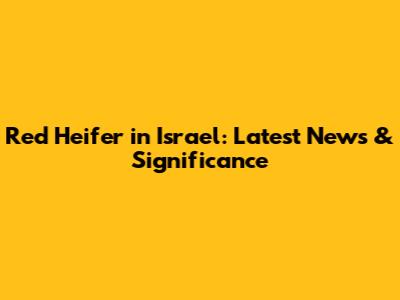 Red Heifer in Israel: Latest News & Significance