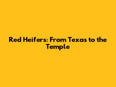 Red Heifers: From Texas to the Temple