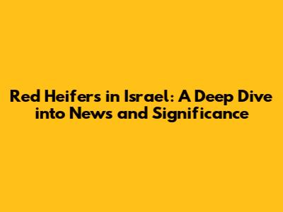 Red Heifers in Israel: A Deep Dive into News and Significance