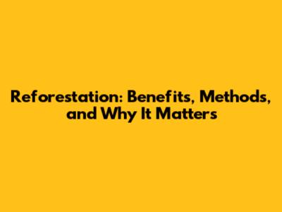 Reforestation: Benefits, Methods, and Why It Matters