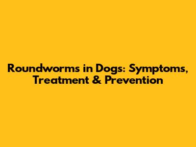 Roundworms in Dogs: Symptoms, Treatment & Prevention