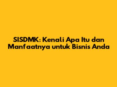 SISDMK: Kenali Apa Itu dan Manfaatnya untuk Bisnis Anda