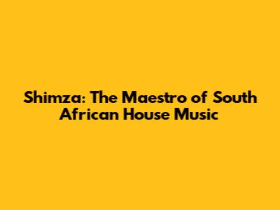 Shimza: The Maestro of South African House Music