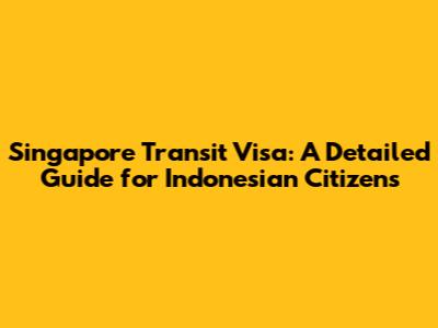 Singapore Transit Visa: A Detailed Guide for Indonesian Citizens
