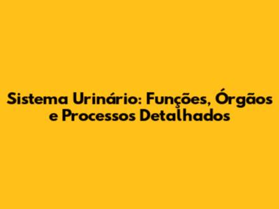 Sistema Urinário: Funções, Órgãos e Processos Detalhados