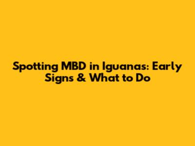 Spotting MBD in Iguanas: Early Signs & What to Do