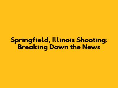 Springfield, Illinois Shooting: Breaking Down the News