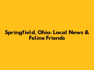 Springfield, Ohio: Local News & Feline Friends