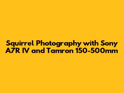 Squirrel Photography with Sony A7R IV and Tamron 150-500mm