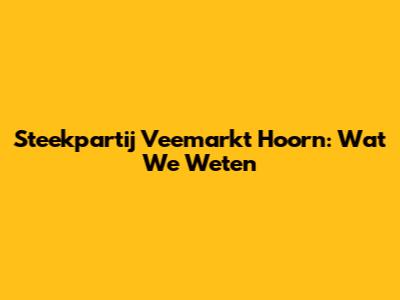 Steekpartij Veemarkt Hoorn: Wat We Weten