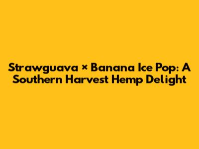 Strawguava × Banana Ice Pop: A Southern Harvest Hemp Delight