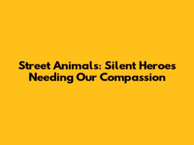 Street Animals: Silent Heroes Needing Our Compassion