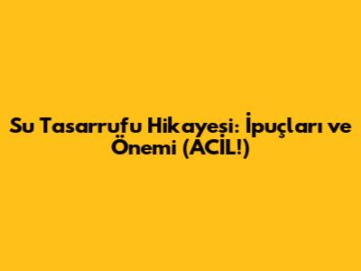 Su Tasarrufu Hikayesi: İpuçları ve Önemi (ACİL!)