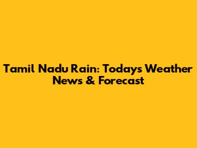 Tamil Nadu Rain: Today's Weather News & Forecast