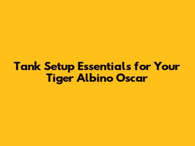 Tank Setup Essentials for Your Tiger Albino Oscar
