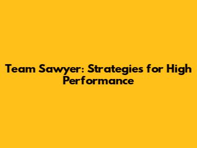 Team Sawyer: Strategies for High Performance