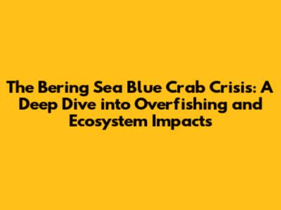 The Bering Sea Blue Crab Crisis: A Deep Dive into Overfishing and Ecosystem Impacts