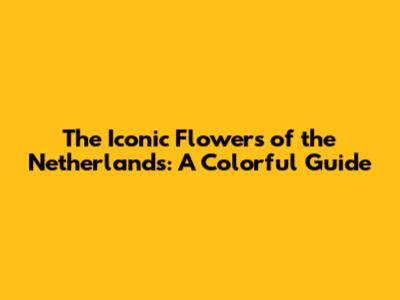 The Iconic Flowers of the Netherlands: A Colorful Guide