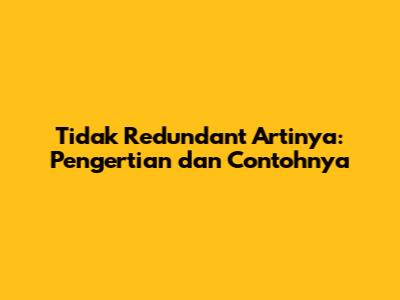 Tidak Redundant Artinya: Pengertian dan Contohnya