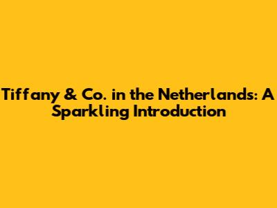 Tiffany & Co. in the Netherlands: A Sparkling Introduction