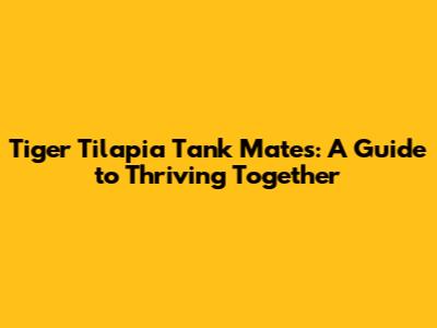 Tiger Tilapia Tank Mates: A Guide to Thriving Together