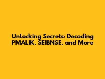 Unlocking Secrets: Decoding PMALIK, SEIBNSE, and More
