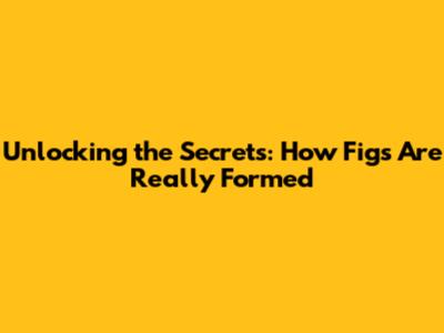 Unlocking the Secrets: How Figs Are Really Formed
