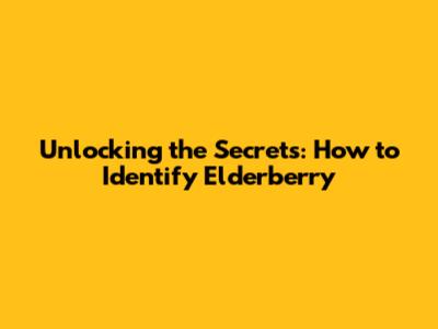 Unlocking the Secrets: How to Identify Elderberry