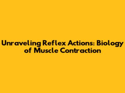Unraveling Reflex Actions: Biology of Muscle Contraction