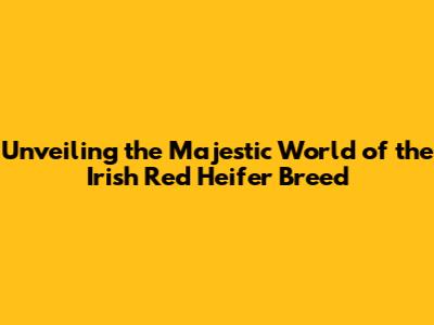 Unveiling the Majestic World of the Irish Red Heifer Breed