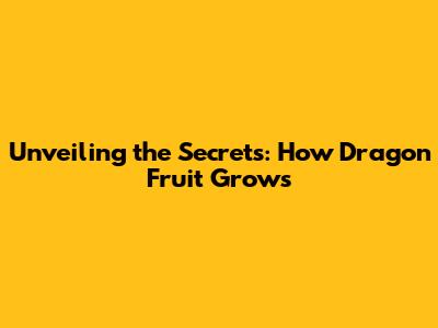 Unveiling the Secrets: How Dragon Fruit Grows