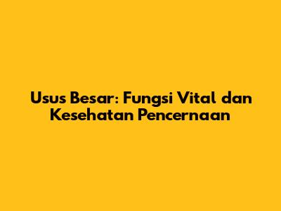 Usus Besar: Fungsi Vital dan Kesehatan Pencernaan