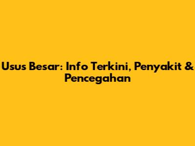 Usus Besar: Info Terkini, Penyakit & Pencegahan