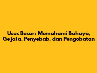 Usus Besar: Memahami Bahaya, Gejala, Penyebab, dan Pengobatan