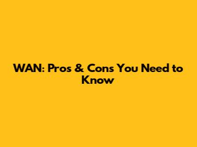 WAN: Pros & Cons You Need to Know