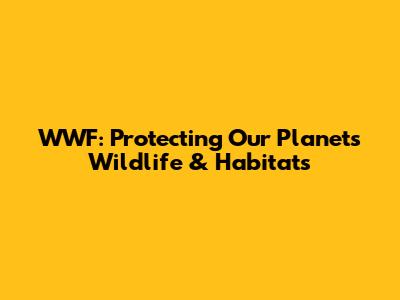 WWF: Protecting Our Planet's Wildlife & Habitats