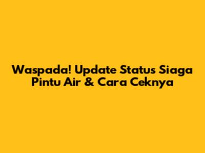 Waspada! Update Status Siaga Pintu Air & Cara Ceknya