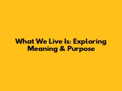 What We Live Is: Exploring Meaning & Purpose
