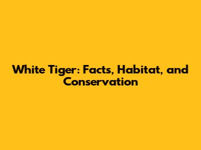White Tiger: Facts, Habitat, and Conservation
