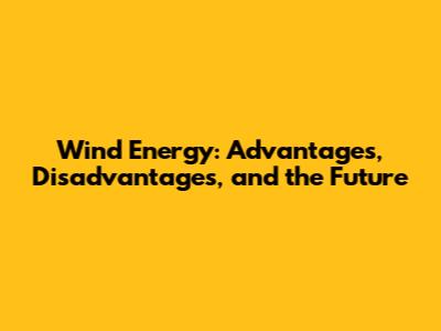 Wind Energy: Advantages, Disadvantages, and the Future